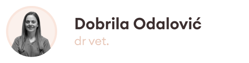 Dobrila Front