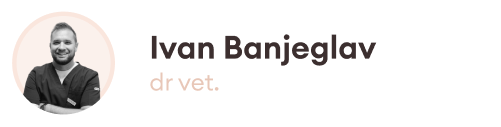 Ivan Front