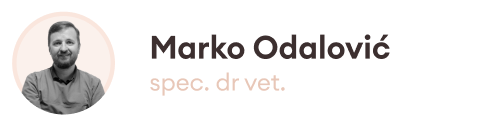 Marko front