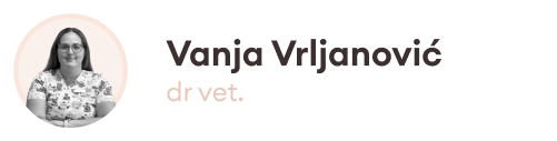 Vanja front